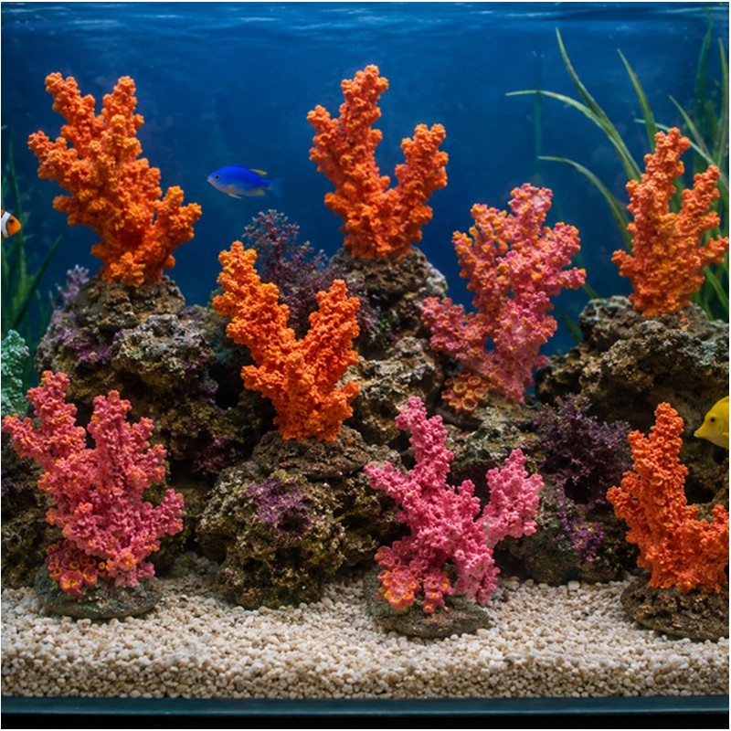 CORAUX COLORES - 7CM