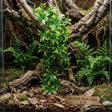ZM PLANTE MEDIUM BOLIVIAN CROTON  [BU-25]