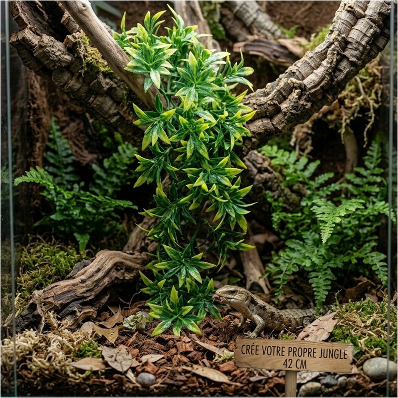 ZM PLANTE MEDIUM BOLIVIAN CROTON  [BU-25]
