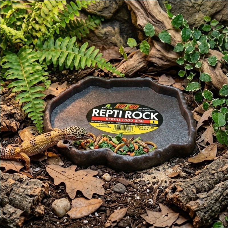 ZM REPTILE FOOD DISH LARGE  [FD-40]