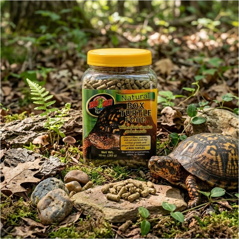ZM NOUR. TORTUE BOITE (283G.)  [ZM-21B]