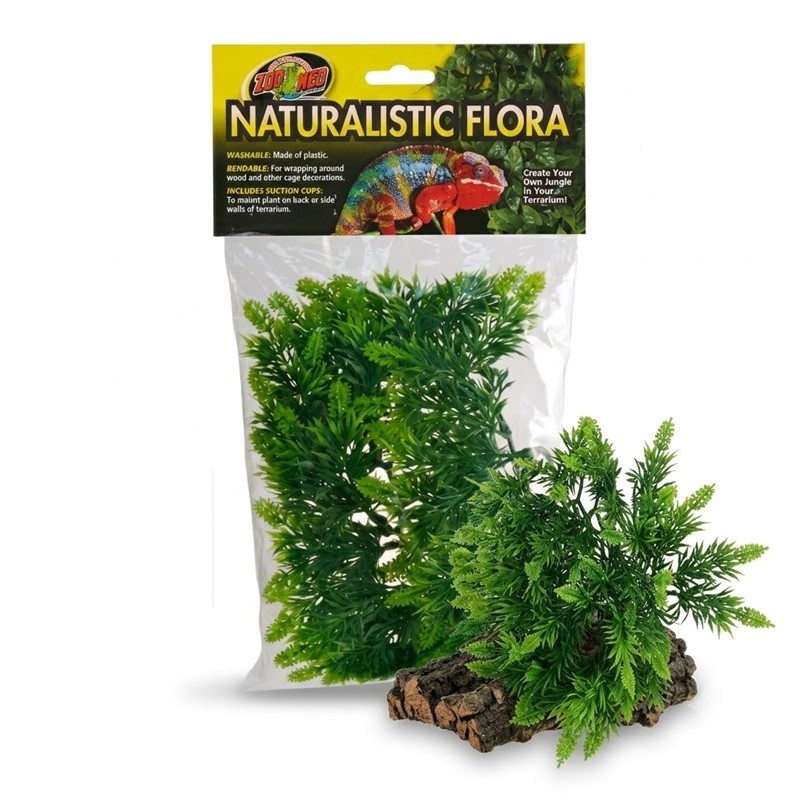 ZM PLANTE LARGE MALAYSIAN FERN  [BU-33]