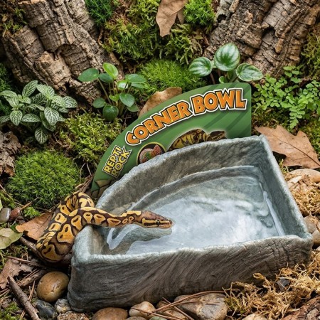 ZM WATER DISH ANGLE LARGE  [KB-40E]