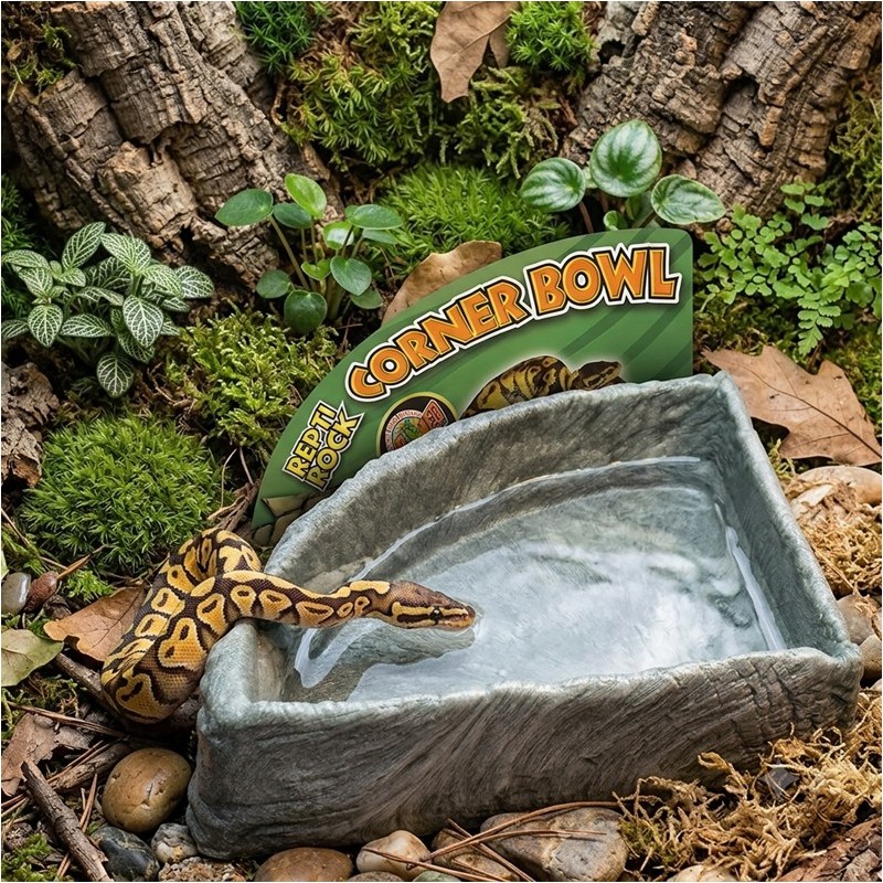 ZM WATER DISH ANGLE LARGE  [KB-40E]