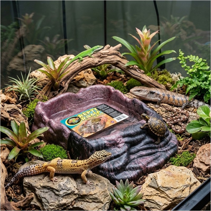 ZM REPTI RAMP BOWL MEDIUM  [RRB-10E]