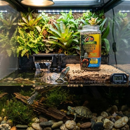 ZM NOUR. TORTUE AQUATIQUE (369GRS)  [ZM-52E]