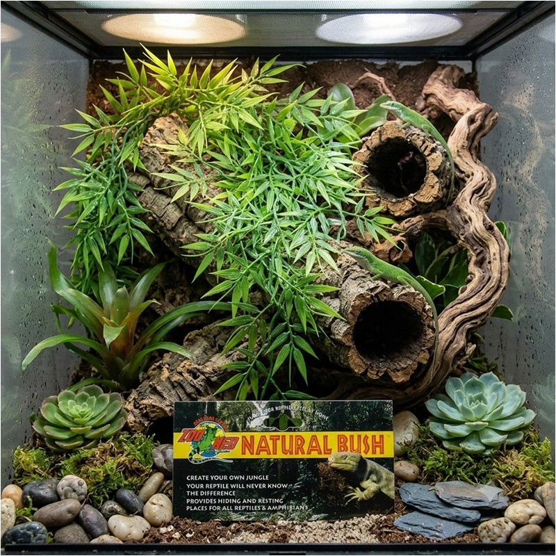 ZM PLANTE MEDIUM MADAGASCAR BAMBOO   [BU-29]
