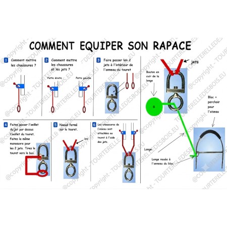 Comment armer son rapace.