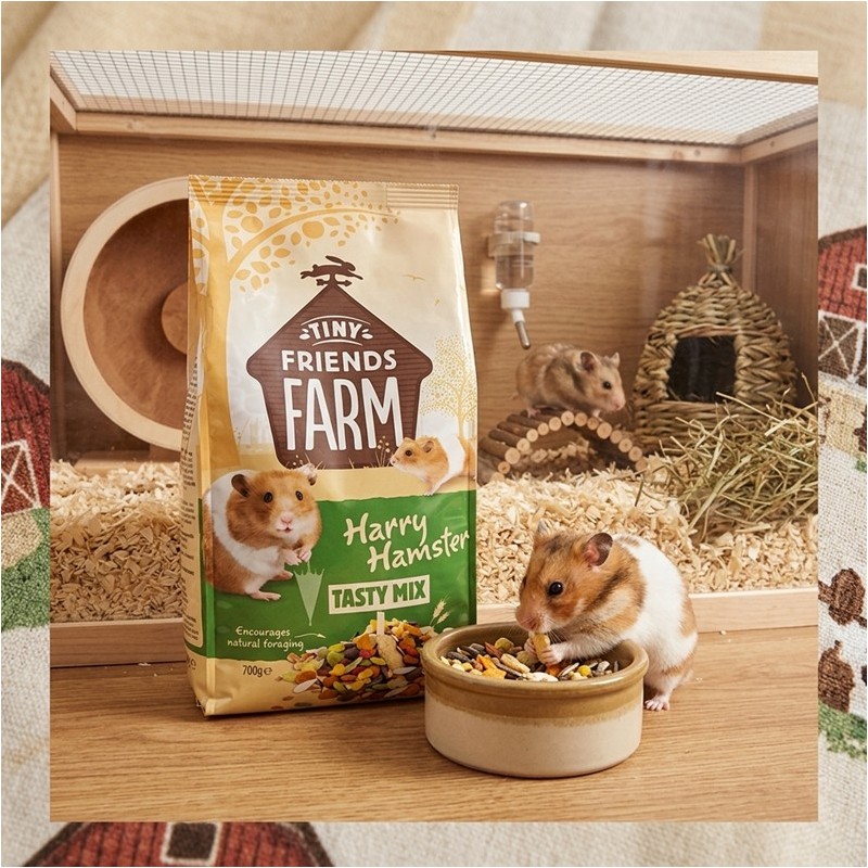 TINY - HARRY HAMSTER TASTY MIX - 0.850 KG