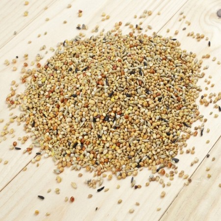 Mélange exotique pour pinsons tropicaux Bird-X 1kg | Fabriqué en Belgique