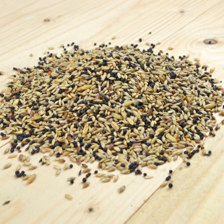 Mélange canari Bird-X 1kg | Fabriqué en Belgique | Aliment complet équilibré
