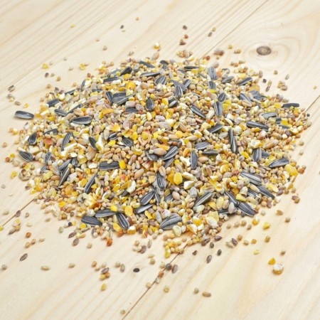 Mélange oiseaux du ciel Bird-X 1kg | Nourriture oiseaux jardin | Fabriqué en Belgique