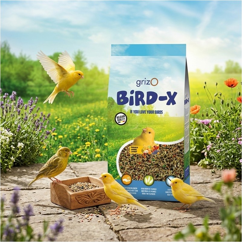 BIRD-X MELANGE CANARI + FRUITS - 5KG