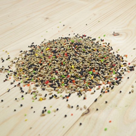 Mélange canari + fruits Bird-X 5kg | Fabriqué en Belgique | Aliment complet enrichi