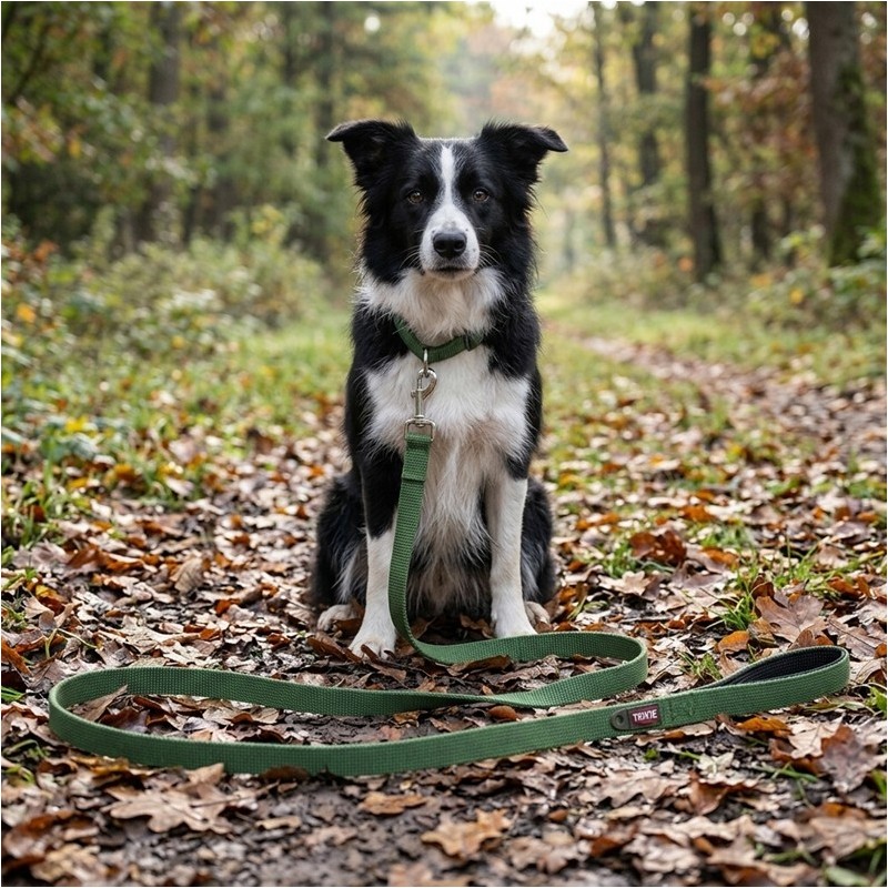 LAISSE À PISTER COTON - OLIVE - 5M/20MM