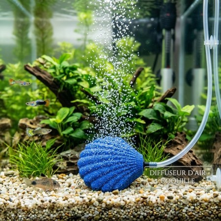 DIFFUSEUR D' AIR COQUILLE