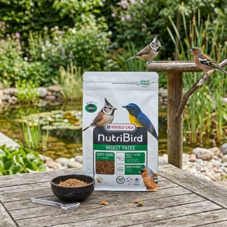 NUTRIBIRD - PÂTÉE INSECTES MAINTENANCE -  1KG