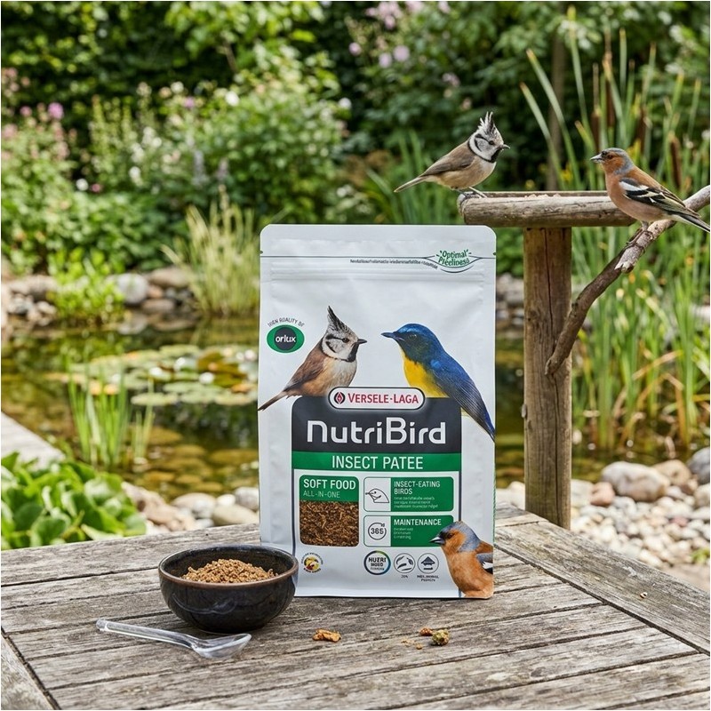NUTRIBIRD - PÂTÉE INSECTES MAINTENANCE -  1KG