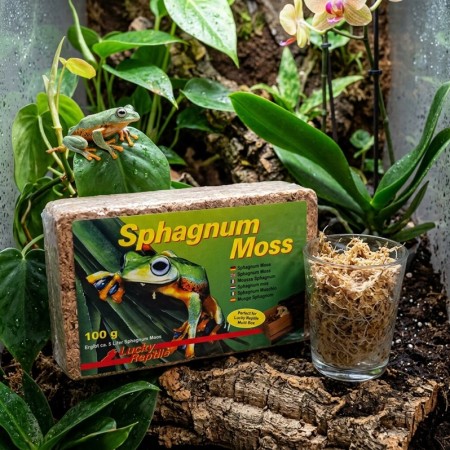 LUCKY REPTILE - SPHAGNUM MOSS - 100GRS