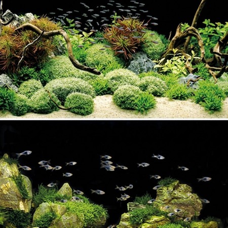 Tetra DecoArt Poster Rochers & Plantes | Fond aquarium 45x60cm