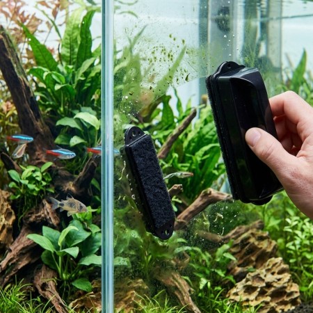 AIMANT ANTI ALGUES POUR AQUARIUM - M