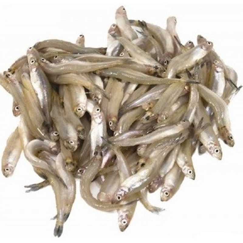 CONGELE - EPERLAN IQF - 5KG (5X1KG)