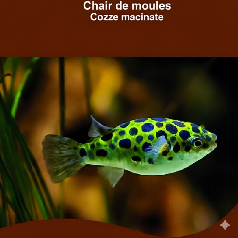 CONGELE- CHAIRE DE MOULE - 100GRS