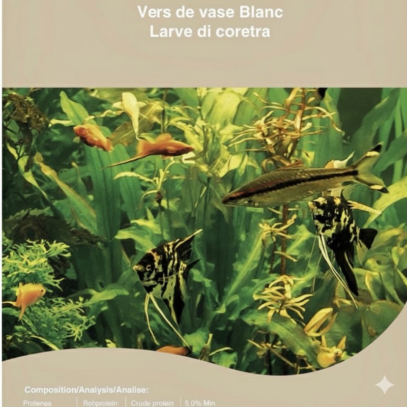 CONGELE- VERS DE VASE BLANC - 100GRS