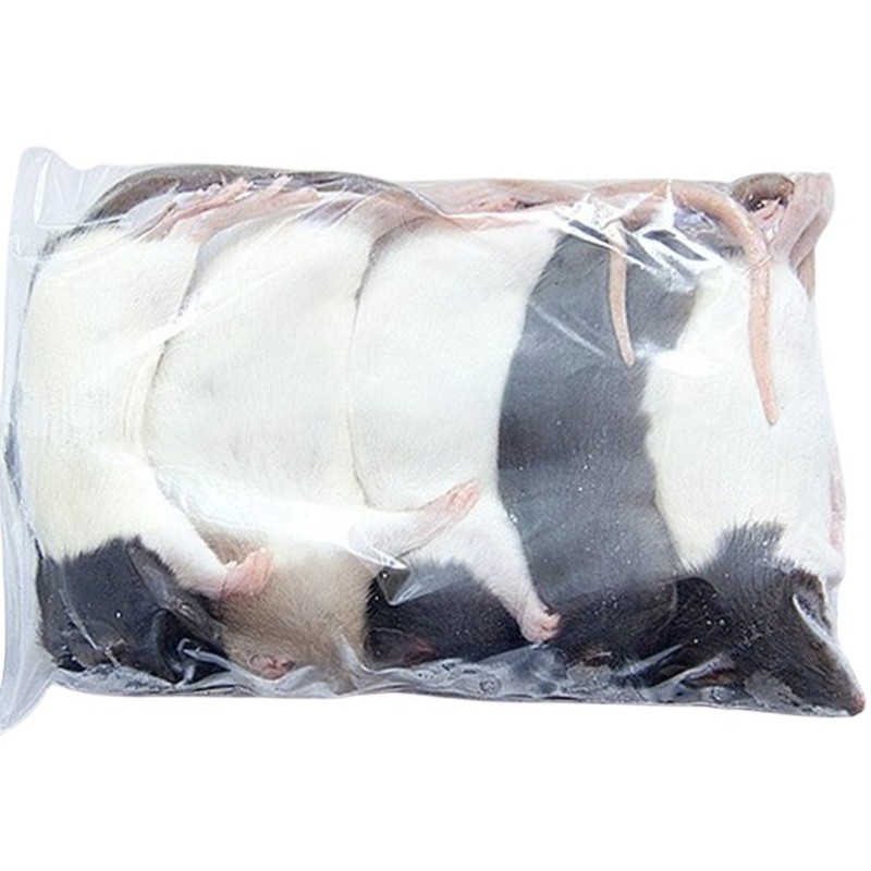 CONGELE - RAT [5] SMALL 90 A 149 GRS Q+ (SACHET DE 5 PIÈCES)