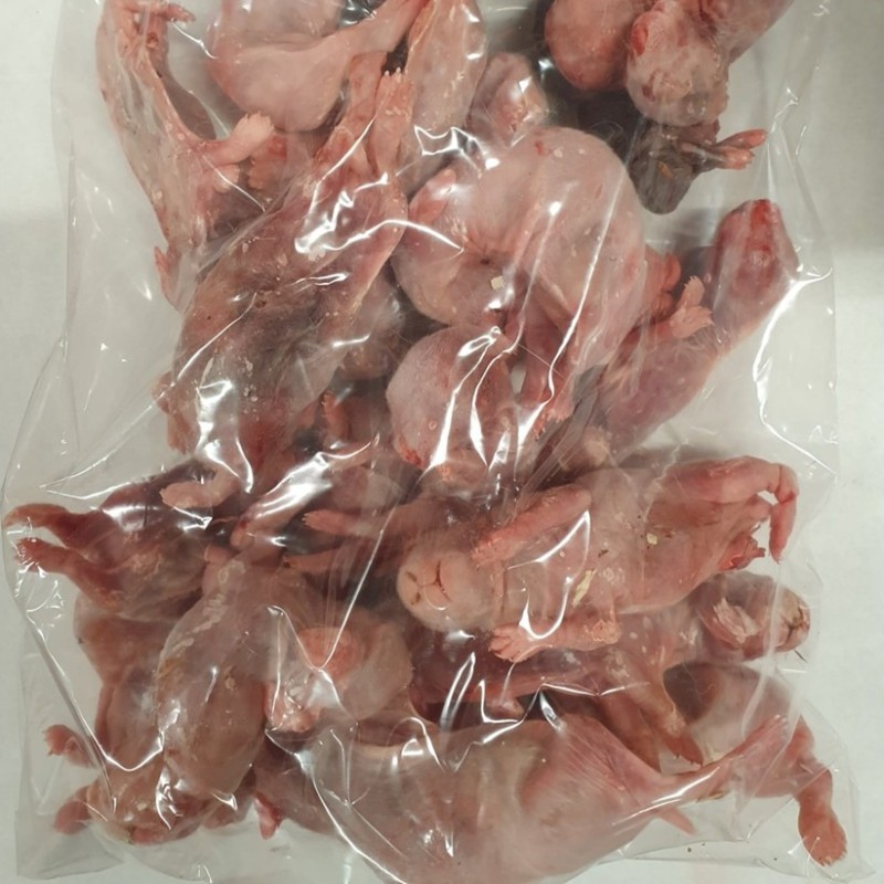 CONGELE - LAPIN BÉBÉ - 1 KG