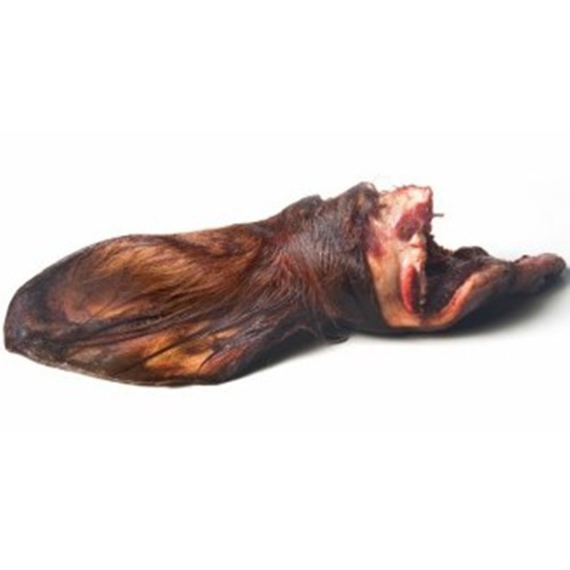 CONGELE - OREILLES DE BOEUF ENTIÈRES - 2 PIÈCES