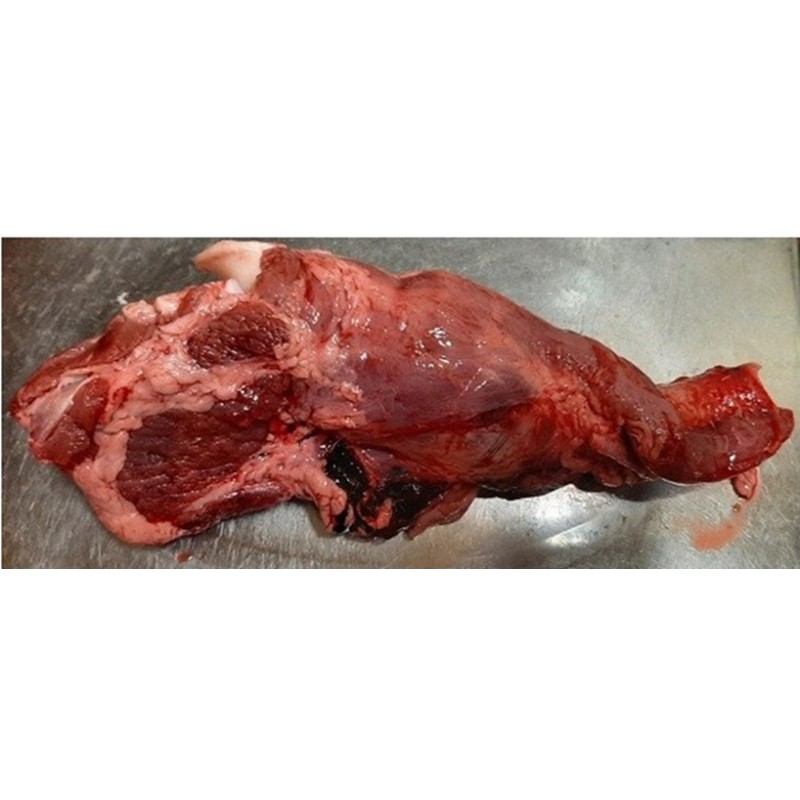 CONGELE - TRACHÉE DE PORC - (SACHET 1KG)