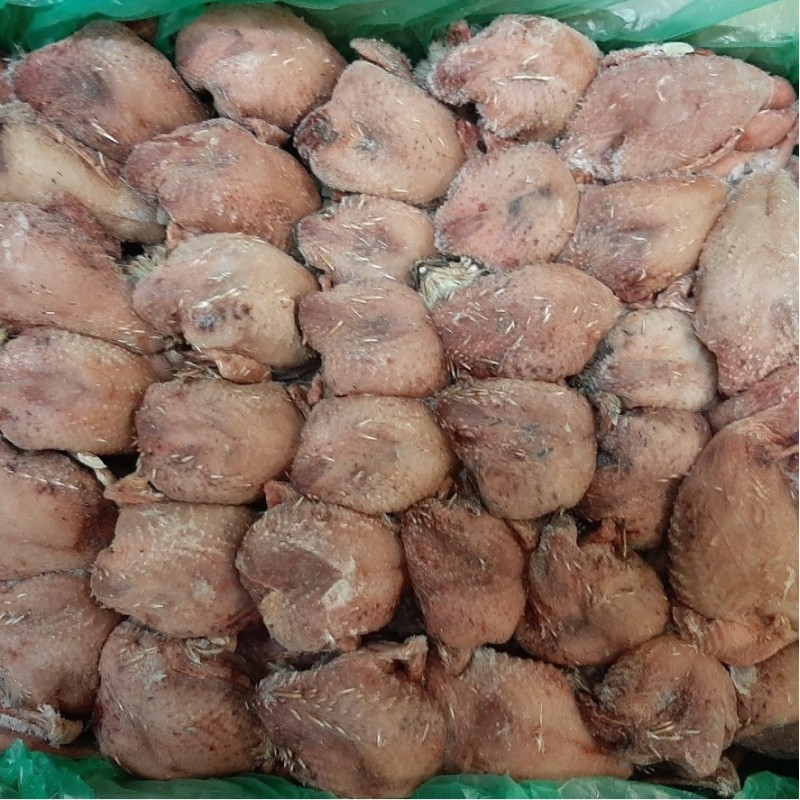 CONGELE - CAILLES SANS PLUME AVEC VISCÈRES (BOITE DE 6 KG)