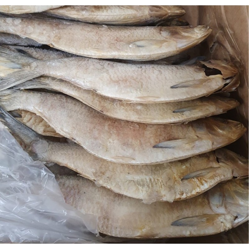 CONGELE - SARDINES IQF - SACHET  +/- 1 KG