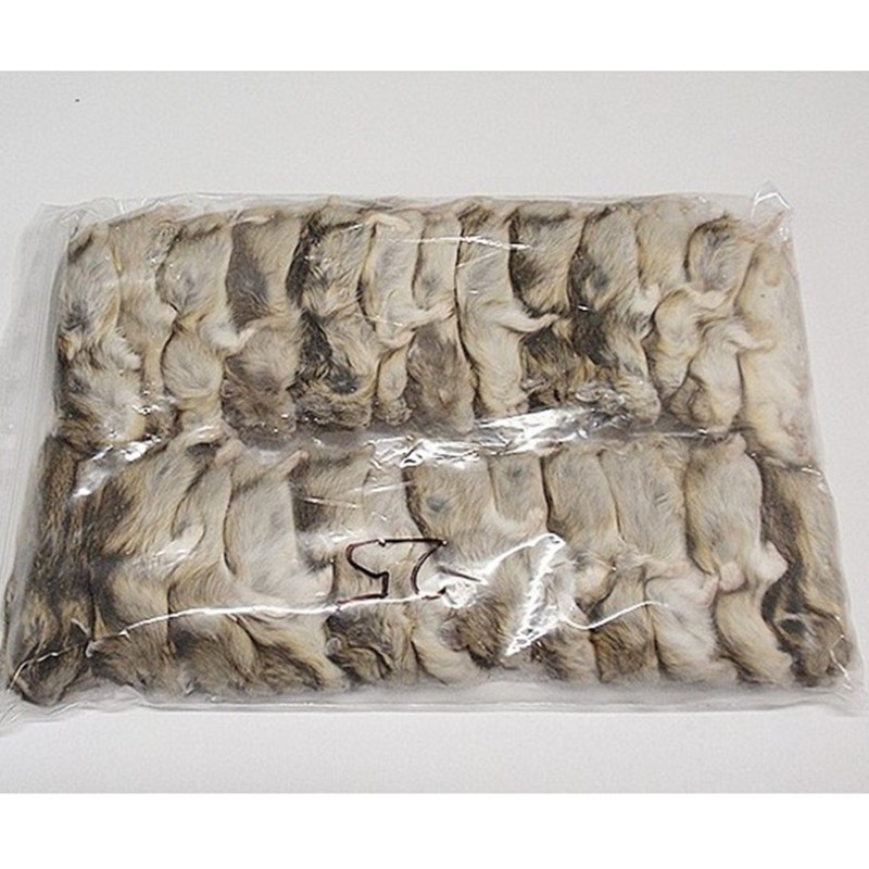 CONGELE - HAMSTER RUSSE - (SACHET DE 10 PIECES)