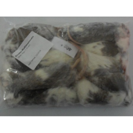 CONGELE - MASTOMYS NATALENSIS +40GRS Q+ (SACHET DE 10 PIÈCES)