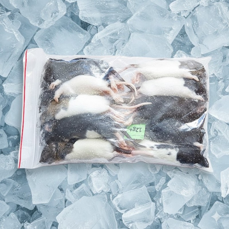 CONGELE - RAT [2] 12 A 29GRS Q+ (SACHET DE 10 PIÈCES)