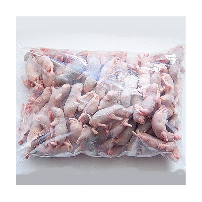 CONGELE - RAT [1] BEBE 1JOUR  1 A 12GRS Q+ (SACHET  DE 25 PIÈCES)