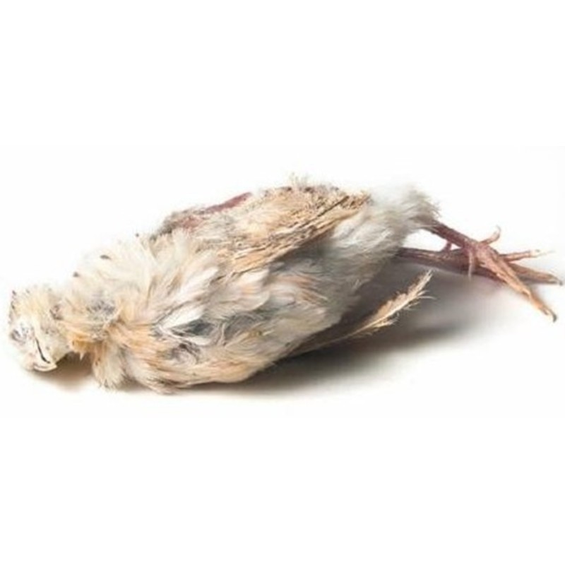 CONGELE - CAILLE ENTIERE DE +/- 200 GRS (PIÈCE)