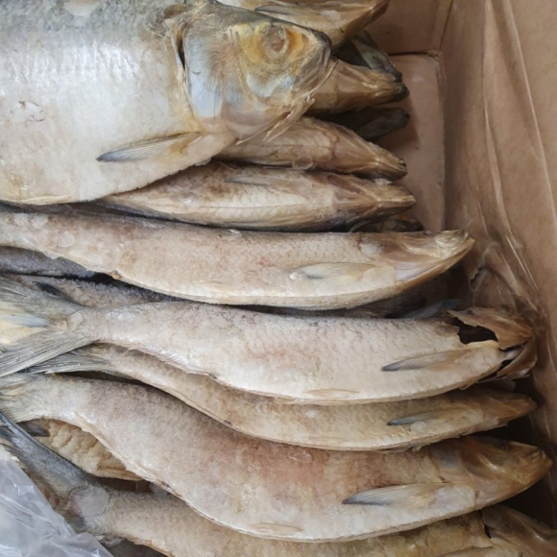 CONGELE - SARDINE GROSSE - BOITE DE 20 KILOS