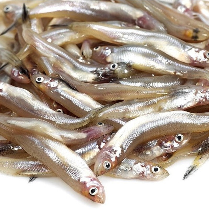 CONGELE - EPERLAN - 1KG