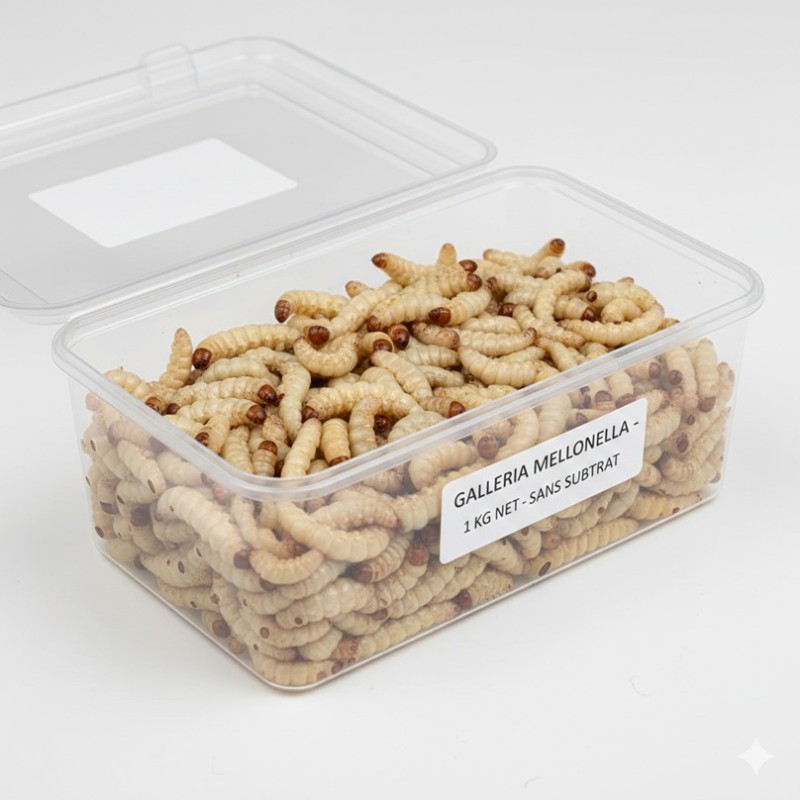 TEIGNE DE RUCHE - 1KG