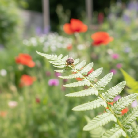 Vers Buffalo (Alphitobius diaperinus) - Vrac 2 litres | Gros conditionnement pour éleveurs et animaleries