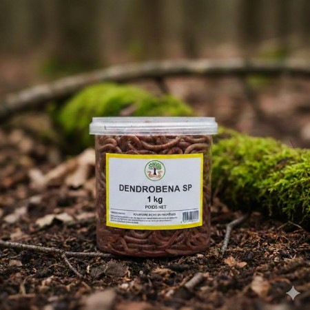 VERS DE TERRE - DENDROBENA - 1 KG