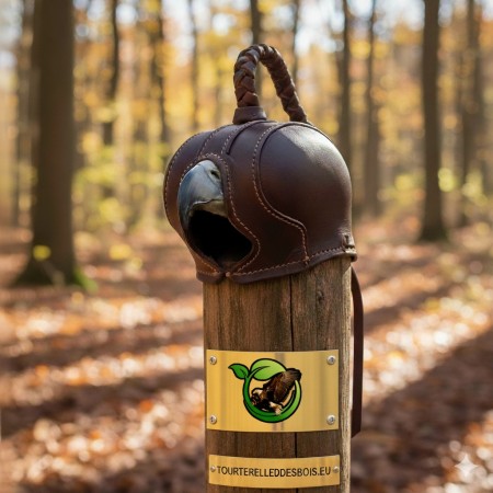 CHAPERON HOLLANDAIS TE-27 - CHR BRUN