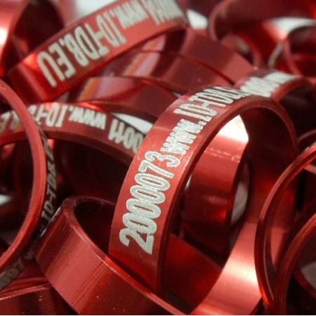 BAGUE FERMÉE RAPACE - 20 -  IDENT. INTERNATIONALE N°  UNIQUE