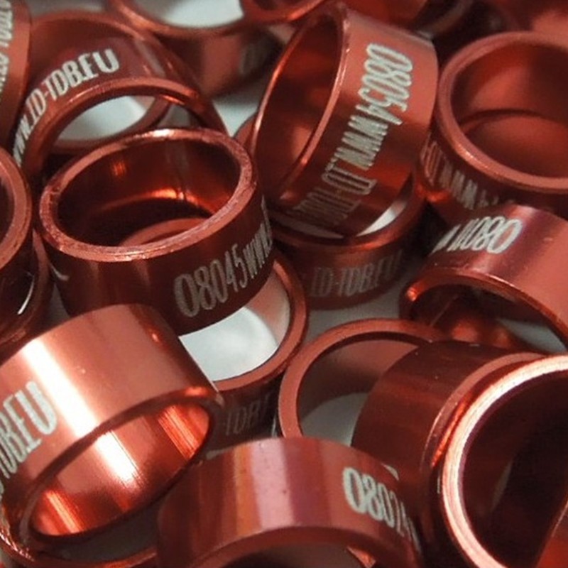 BAGUE FERMÉE RAPACE - 08 -  IDENT. INTERNATIONALE N°  UNIQUE