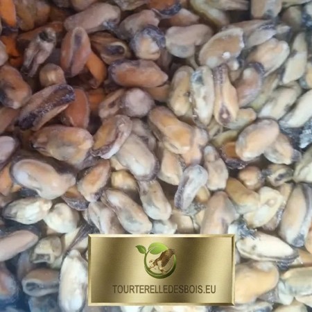 CONGELE - MOULE DÉCOQUILLÉES CUITES - (SACHET DE 1KG)