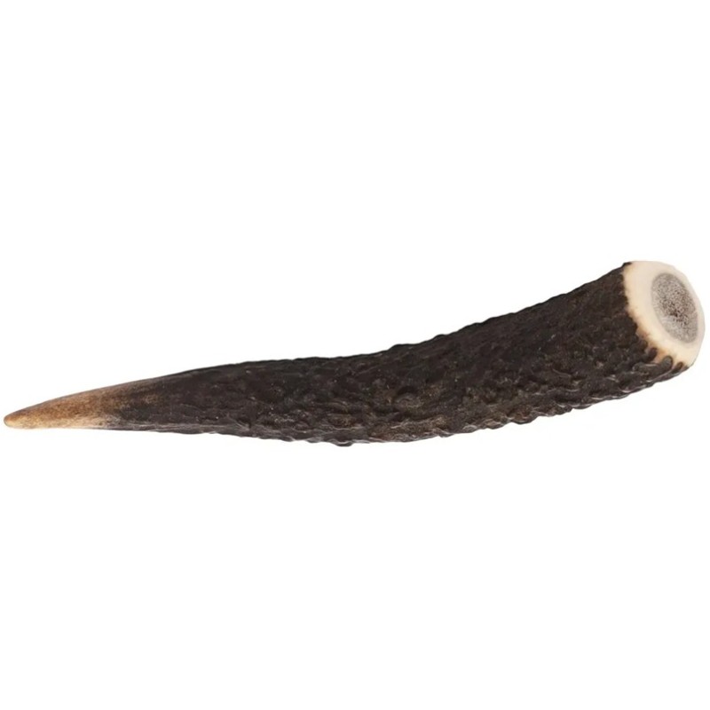 NATURE SNACK - BOIS DE CERF - S - 1PIÈCE