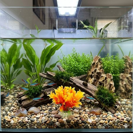 PLANTE PLASTIC JAUNE ET ORANGE 10 CM